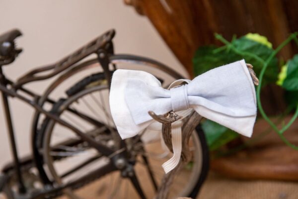 παπιγιόν και καπέλο)